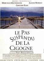 鹳鸟的踟躇Meteoro vima tou pelargou, To (1991)