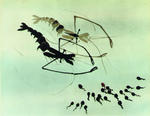 小蝌蚪找妈妈Baby Tadpoles Look for Their Mother (1960)
