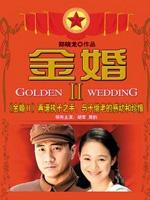 金婚风雨情 (2009)