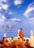 阳光灿烂的日子/In the Heat of the Sun
