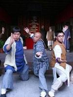 黄飞鸿五大弟子 (2006)