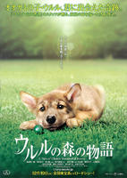 乌鲁鲁的森林物语A Tale of Ululu's Wonderful Forest (2009)