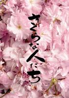 樱花般的人们Looking for Cherry Blossoms (2007)