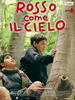 红色天空/Rosso come il cielo(2006)
