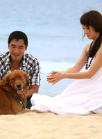 蓝色矢车菊Lan Se Shi Che Ju (2010)