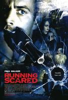 持续惊恐Running Scared (2006)