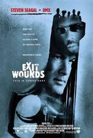 以毒攻毒/Exit Wounds(2001)
