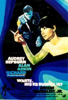 盲女惊魂记Wait Until Dark (1967)