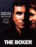 因爱之名/The Boxer