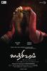 彩绸纱丽/Kanchivaram(2008)