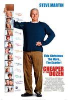 儿女一箩筐Cheaper by the Dozen (2003)