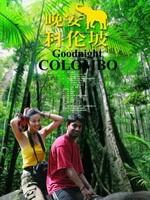 晚安·科伦坡Goodnight Colombo (2007)