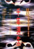 千年还生/Cheonnyeon hwansaeng(1996)