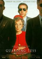 第一夫人的保镖Guarding Tess (1994)