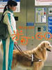 米可，GO!/Mico,Go!