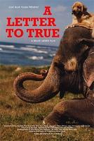狗狗人生A Letter to True (2004)