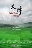 天降/Falling From the Sky(2009)