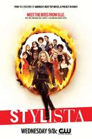 时尚记者Stylista (2008)