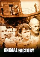 动物工厂Animal Factory (2000)