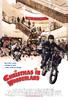神奇的圣诞之旅/Christmas in Wonderland(2007)