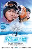 愿望树Yuen mong shu (2001)