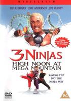 宝贝威龙大闹游乐场3 Ninjas: High Noon at Mega Mountain (1998)