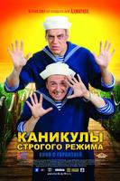 假日大警戒Kanikuly strogogo rezhima (2009)