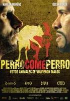 狗咬狗Perro Come Perro (2008)