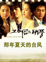 那年夏天的台风 (2005)