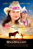 The Wild Stallion(2009)
