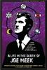 乔·米克谜一样的死与生/A Life in the Death of Joe Meek