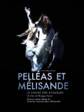 佩莱阿斯和梅丽桑德：盲者之歌Pelléas et Mélisande, le chant des aveugles (2008)