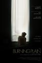 燃烧的平原/The Burning Plain(2008)