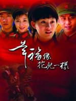 幸福像花儿一样Happiness as Flowers (2005)