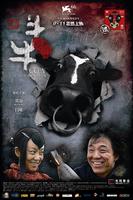 斗牛Cow (2009)