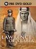 阿拉伯的劳伦斯——为阿拉伯世界而战/Lawrence of Arabia: The Battle for the Arab World(2003)
