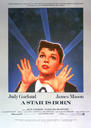 一个明星的诞生/a star is born(1954)