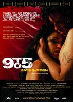 毛片儿岁月9 to 5: Days in Porn (2008)