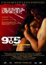 毛片儿岁月/9 to 5: Days in Porn(2008)