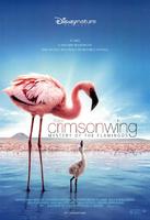 红色翅膀：火烈鸟故事The Crimson Wing: Mystery of the Flamingos (2008)