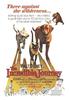 一猫二狗三分亲/The Incredible Journey(1963)