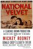 玉女神驹/National Velvet