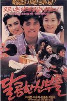 新娘甜蜜蜜Dalkomhan shinbudeul (1989)