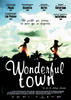 奇妙小镇/Wonderful Town(2007)