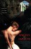情色风暴/Angels & Insects