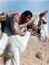白马飞飞/White Horse Fei Fei(1996)