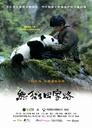 熊猫回家路/Trail of the Panda(2009)