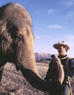 Larger Than Life (1996)