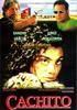 小碎片(1995)