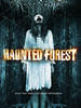 亡灵咒怨/Haunted Forest(2007)